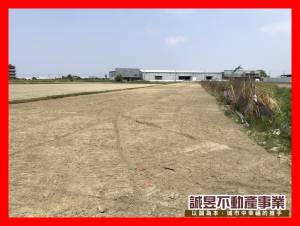 誠昱/台江大道旁雙面.
