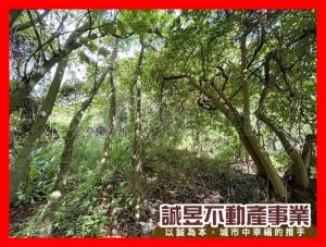 誠昱/近86快速道路.