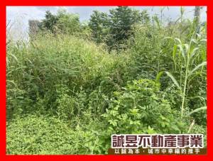 誠昱/永康交流道運輸.