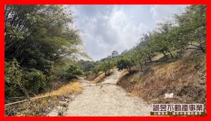 誠昱/東山持分農保地